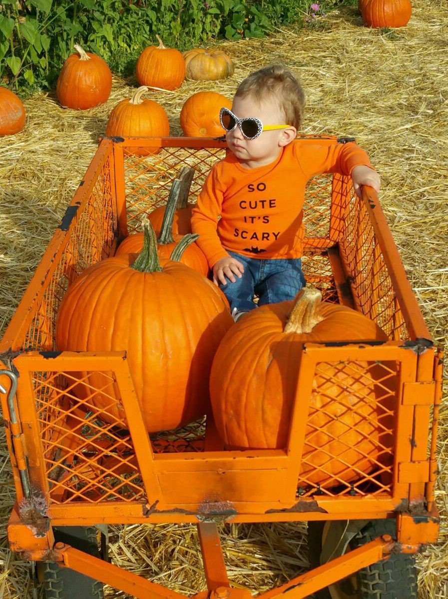 From Our Readers: Picking Pumpkins